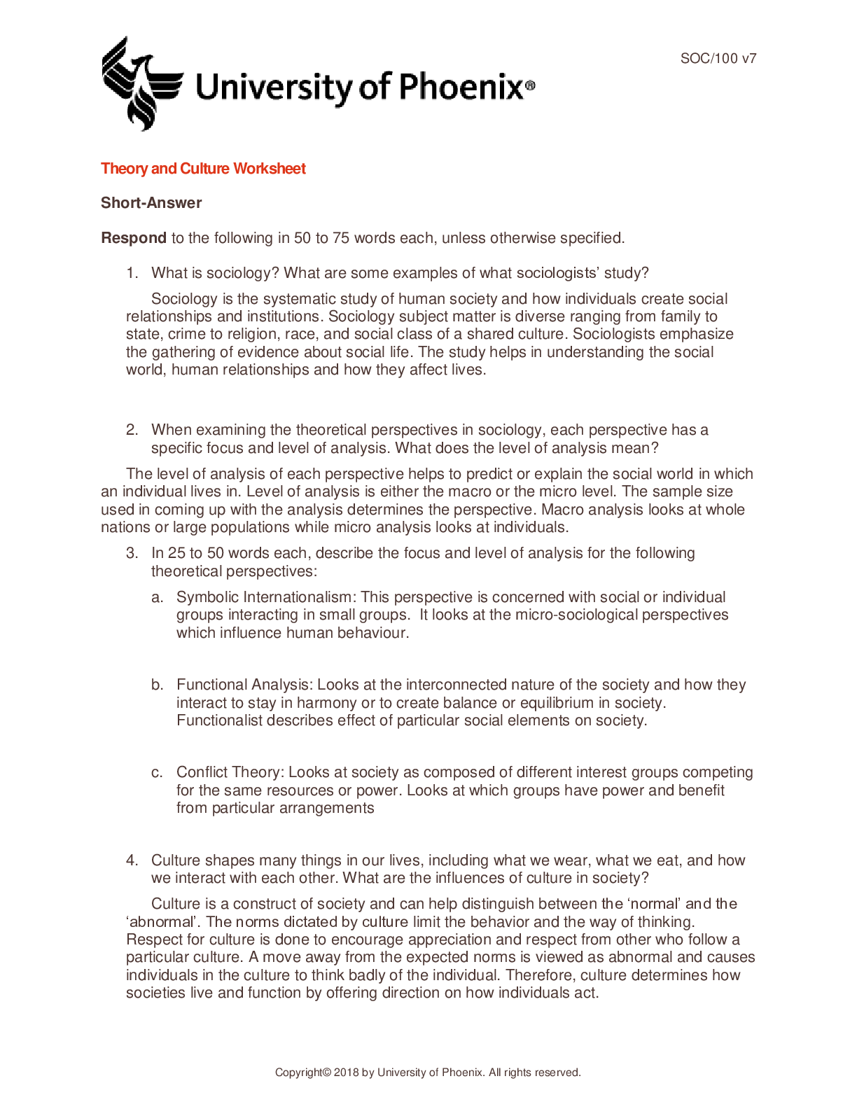 Preview image of Theory and Culture Worksheet document